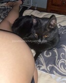 Анкета проститутки Диана - метро Таганский, возраст - 23